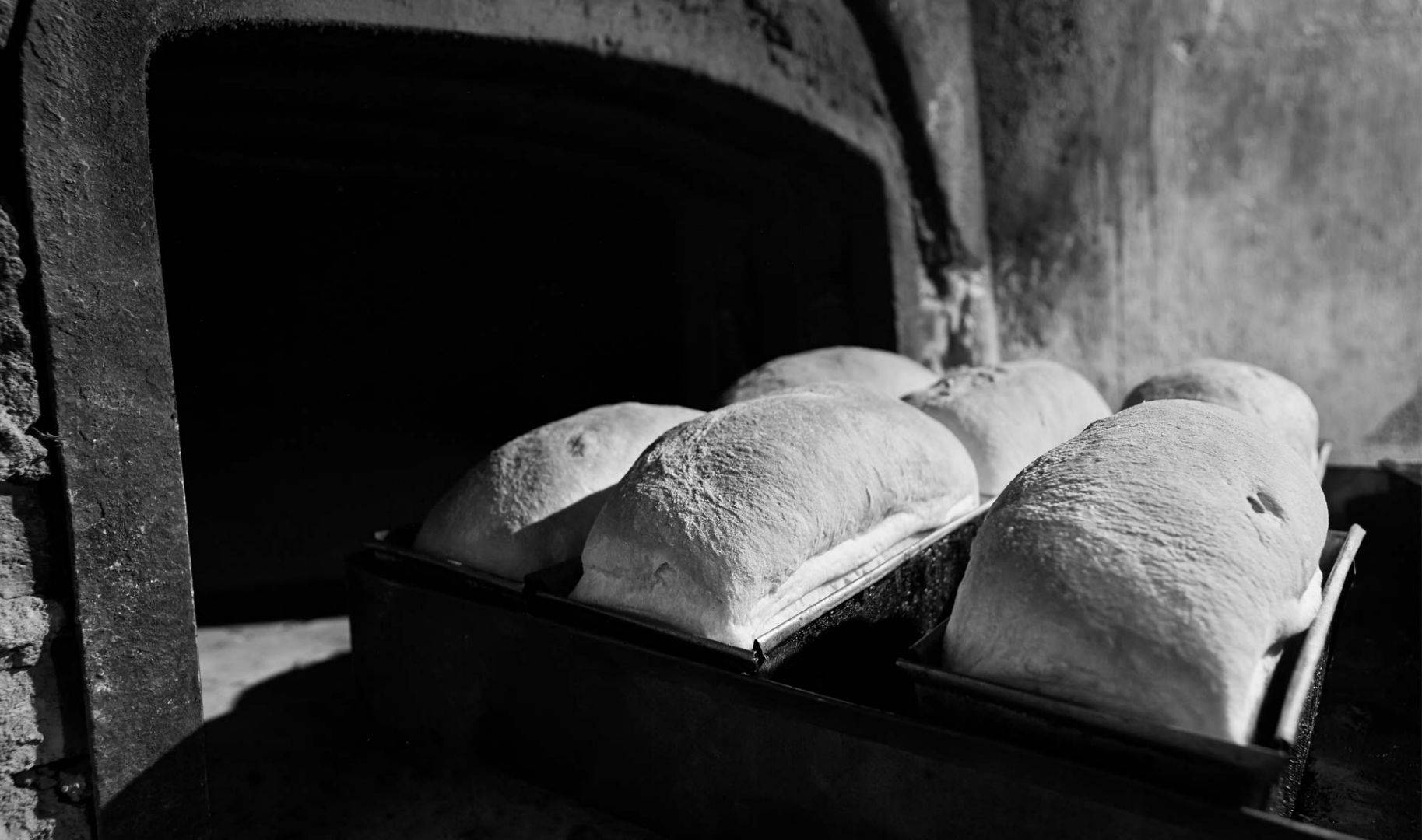 Il pane appena sfornato del panificio Viganò